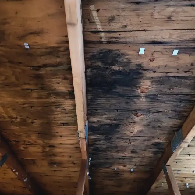 Insulation install and removal