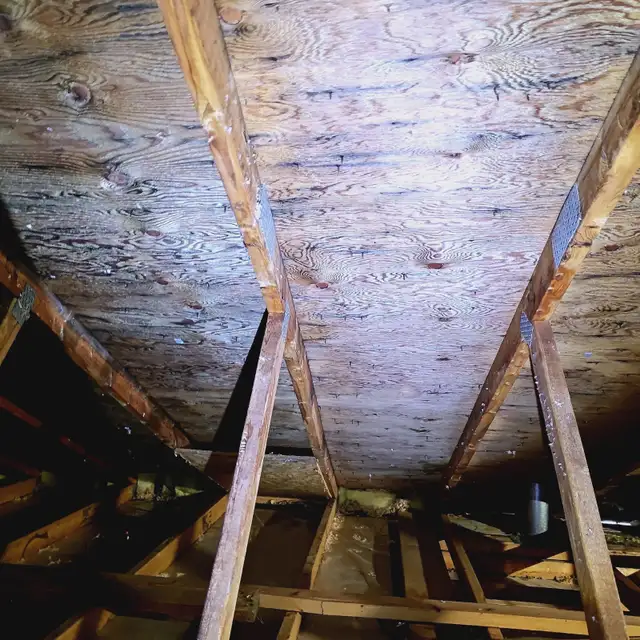 Insulation install and removal - Photo 2