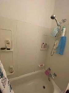 Verdun 5 ½ au 1er étage avec sous-sol - Photo 4