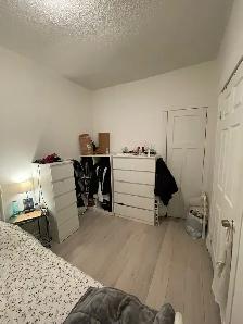 Verdun 5 ½ au 1er étage avec sous-sol - Photo 7