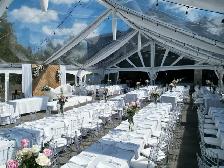 Clear and Gold Chiavari Chairs for Rent - Photo 3