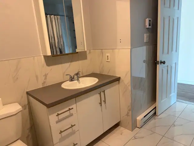 Grand 5 1/2 Vimont (laval), 1950$, libre maintenant - Photo 4