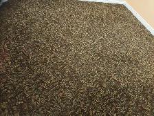 Two bedrooms basement apartment for rent : Brampton - Photo 7