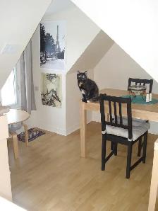 Loft Living – Private, Cozy, Squeaky Clean 1 Br Attic Suite! - Photo 3