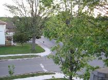 Loft Living – Private, Cozy, Squeaky Clean 1 Br Attic Suite! - Photo 10