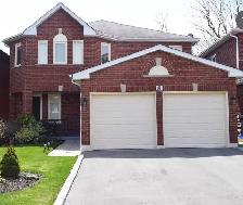 Above ground basement suite in Scarborough