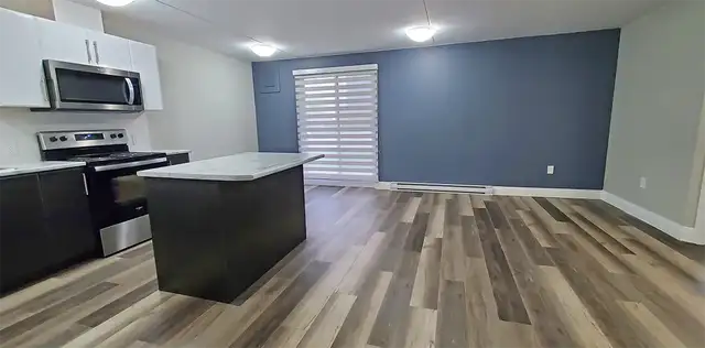 155 Hagar Street - 1 bedroom for Rent in Welland - Photo 10