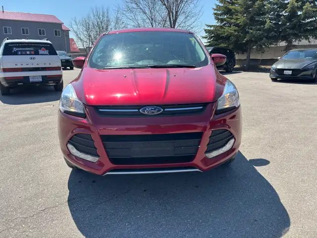 Ford Escape - Photo 4