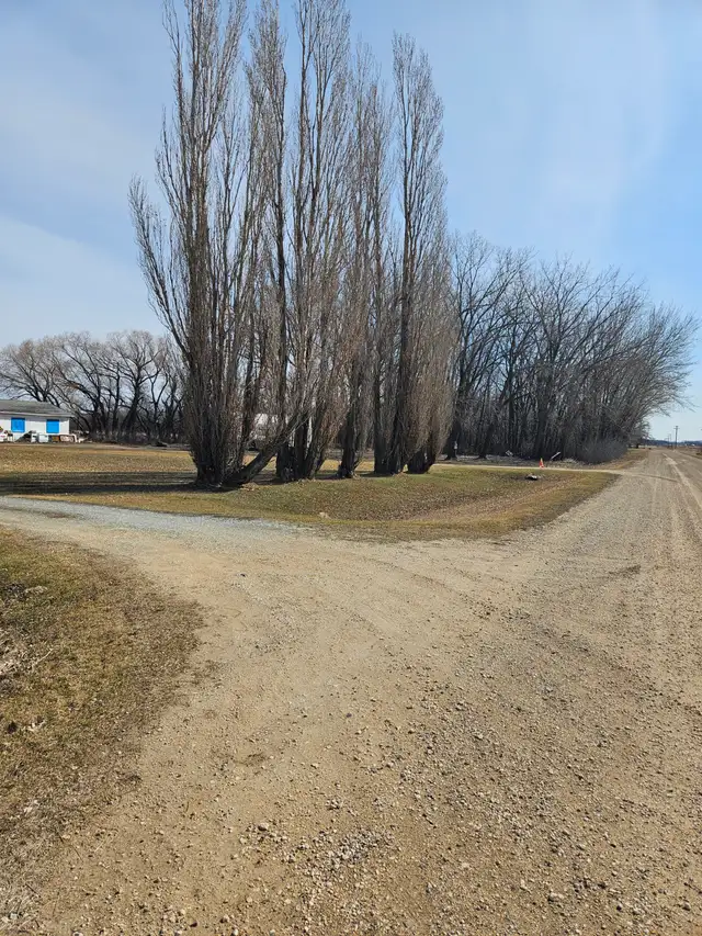 Residential land on highway #1 right beside millers campground - Photo 9