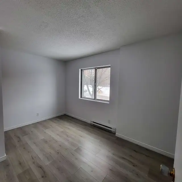 4 1/2 dans le secteur Ste-Foy à louer - Photo 5