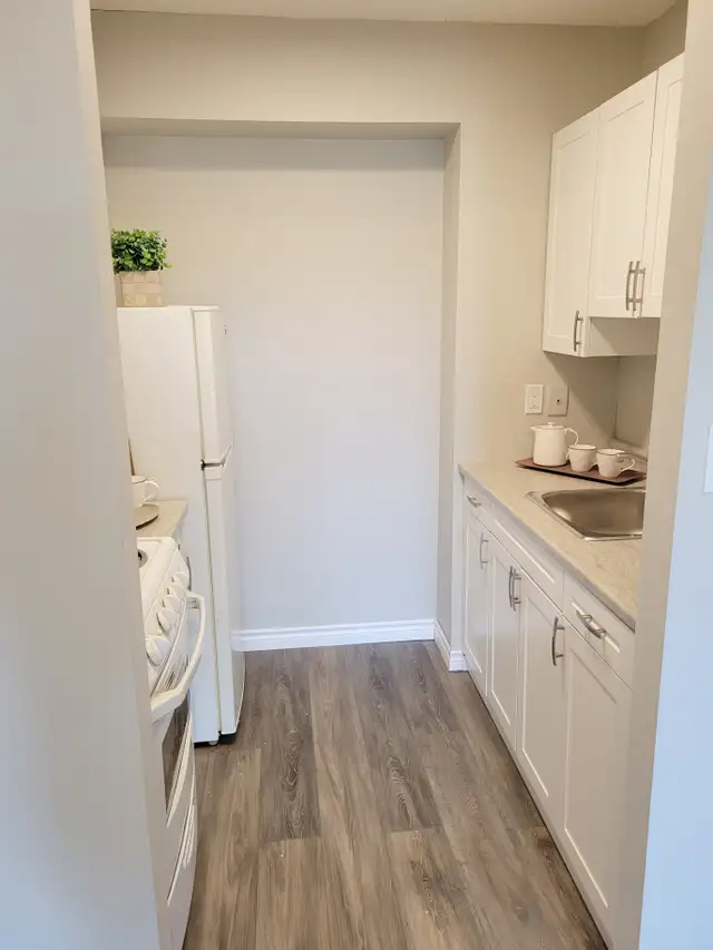 1 Bedroom Apartment North Bay - All inclusive Great for Seniors - Photo 4