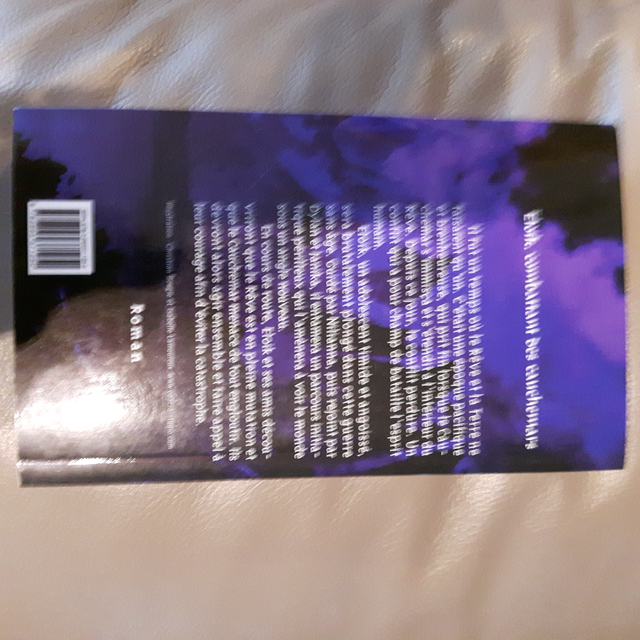 LIVRE NEUF ADO L'ÉVEIL DU REVEUR DE MARTIN BOIS SÉBASTIEN 325PAG - Photo 3