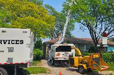 Arborist Groundman (Full-time) needed. - Photo 3