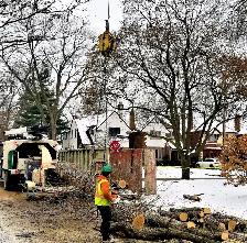 Arborist Groundman (Full-time) needed. - Photo 5