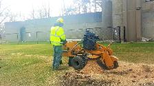 Arborist Groundman (Full-time) needed. - Photo 8