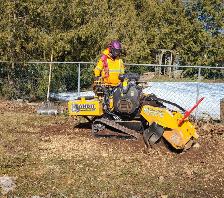 Arborist Groundman (Full-time) needed. - Photo 9