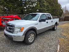2013 Ford Heavy Duty F150 4 Door 6.5 Box Inspected to 2028