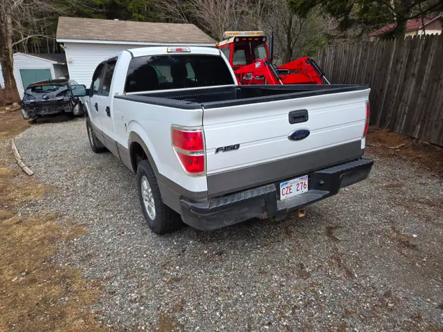 2013 Ford Heavy Duty F150 4 Door 6.5 Box Inspected to 2028 - Photo 5