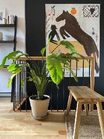 MAGNIFIQUE & GRAND 3 1/2 PRÈS MÉTRO PIE-IX 1395$ ÉLECTROS INCLUS