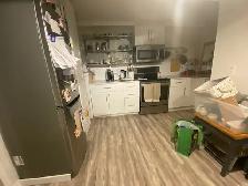 38 Calderwood Drive - Lower - 2 bed, 1 bath ALL INCLUSIVE STUDEN - Photo 5