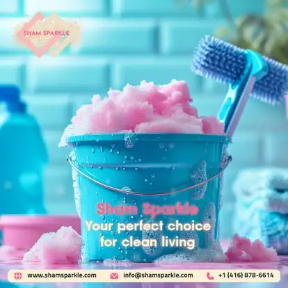 Professional cleaning services in the GTA