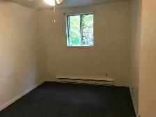 1 Bedroom Apartment with utilities - Photo 3