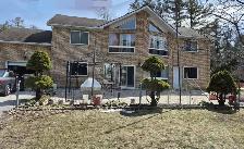 Basement apartment Available Tiny, Ont