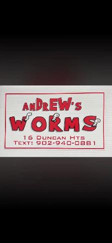 AnDrEW Worms
