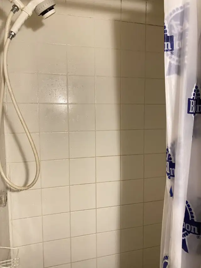 5 min Walk to Whitehorn Ctrain/ Near Sunridge Mall & Airport - Photo 7