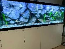 Aquarium 3-D rock background,