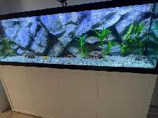Aquarium 3-D rock background, - Photo 3