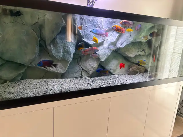 Aquarium 3-D rock background, - Photo 4