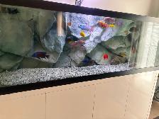 Aquarium 3-D rock background, - Photo 4