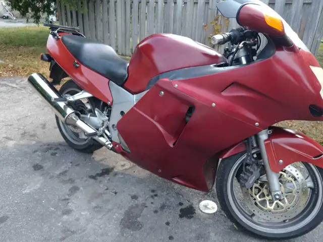 2001 Honda CBR1100XX BLACK BIRD. Runs like a top. TLC only. - Photo 5