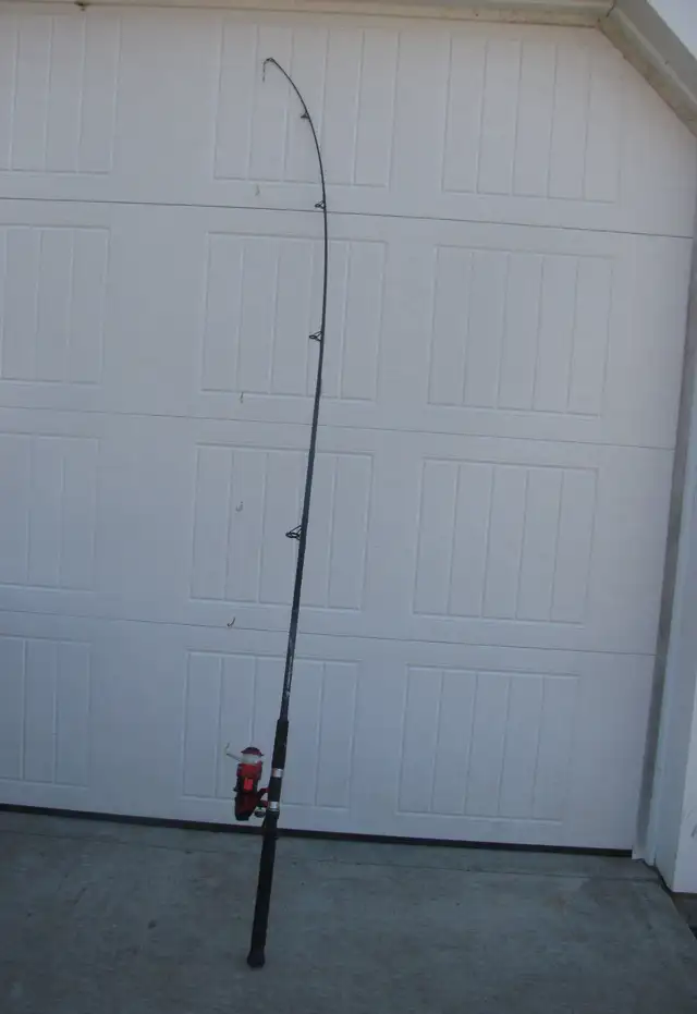 Fishing Rod