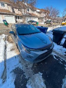 2020 Toyota Corolla Low Km