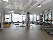 Beautiful 1 BDRM w/Balcony, Parking, & Storage - DowntownToronto - Photo 8