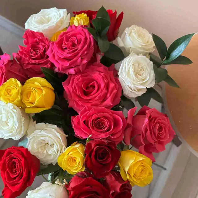 Live-in Caregiver/PSW needed immediately