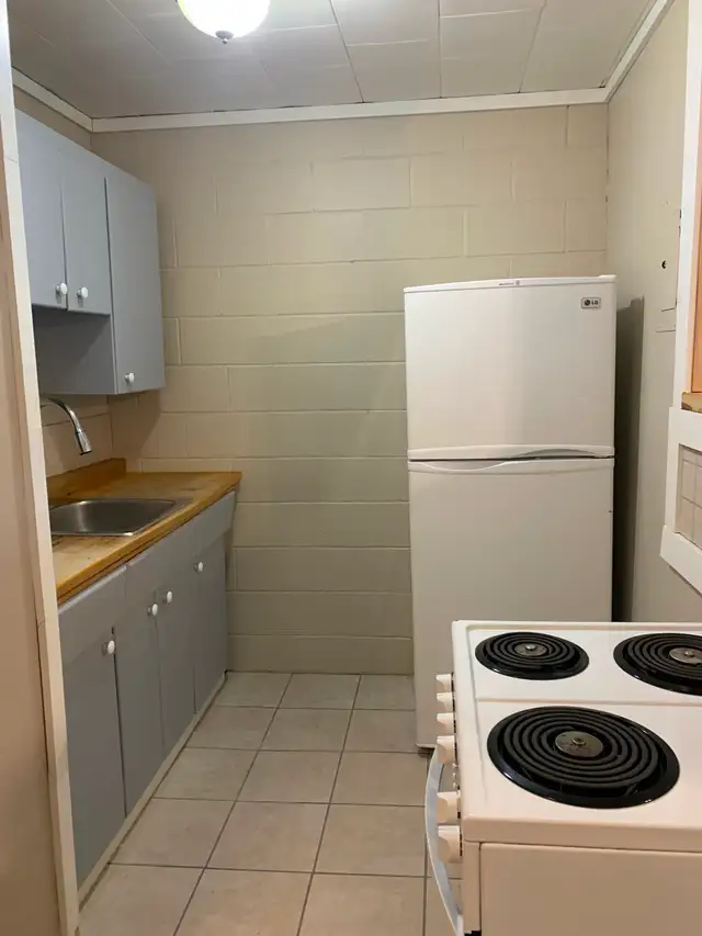 Bachelor/Studio Apartment for Rent - Photo 2