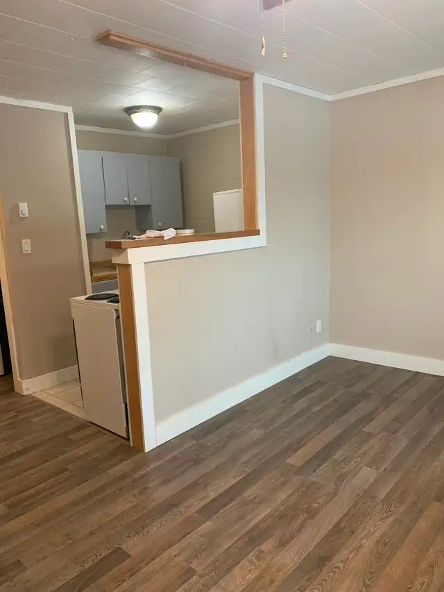 Bachelor/Studio Apartment for Rent - Photo 3