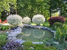 Koi Ponds and Aquariums/Fish Tanks