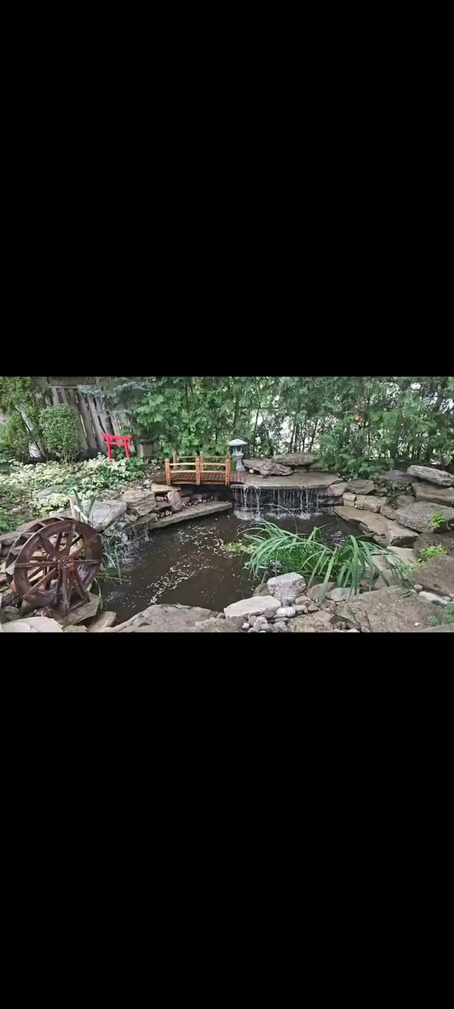 Koi Ponds and Aquariums/Fish Tanks - Photo 2