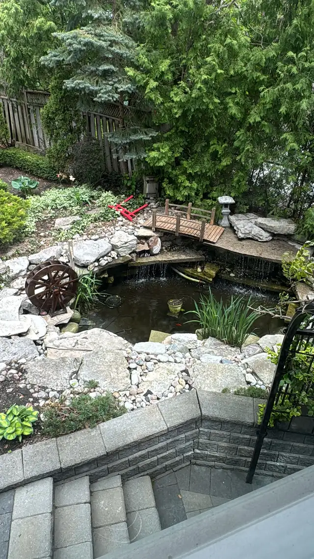 Koi Ponds and Aquariums/Fish Tanks - Photo 3