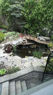 Koi Ponds and Aquariums/Fish Tanks - Photo 3