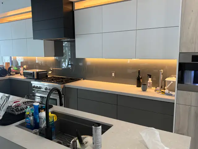 Shower Doors - Photo 3