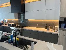 Shower Doors - Photo 3