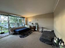 Very spacious studio room for 1 or couple, May 1 Wilson-Bathurst