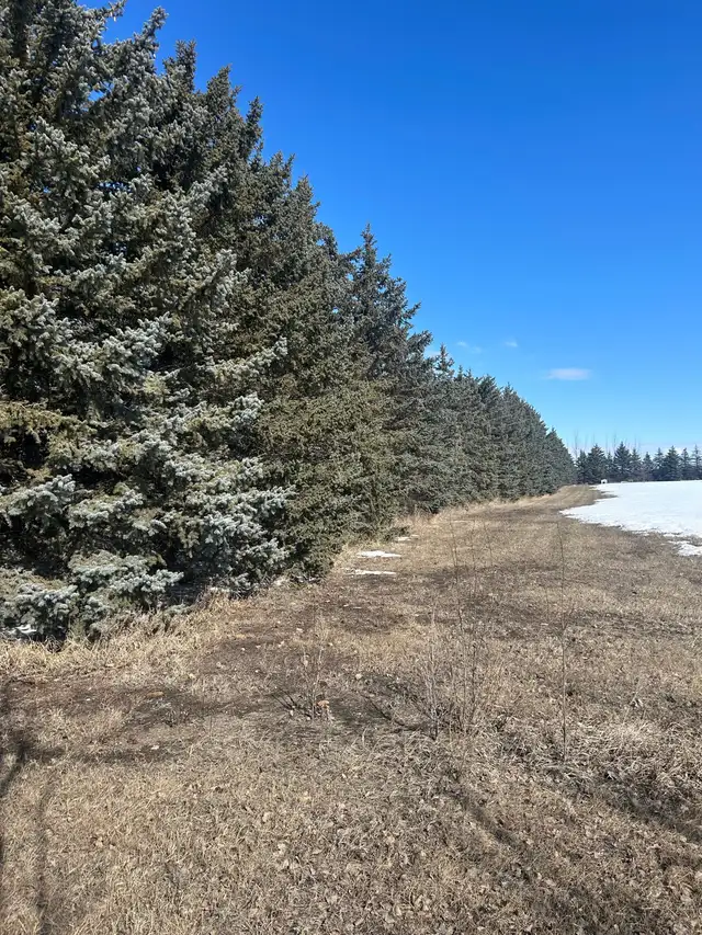 Corman Park Acreage - Photo 2