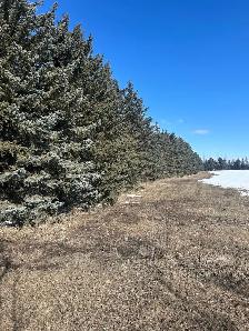 Corman Park Acreage - Photo 2