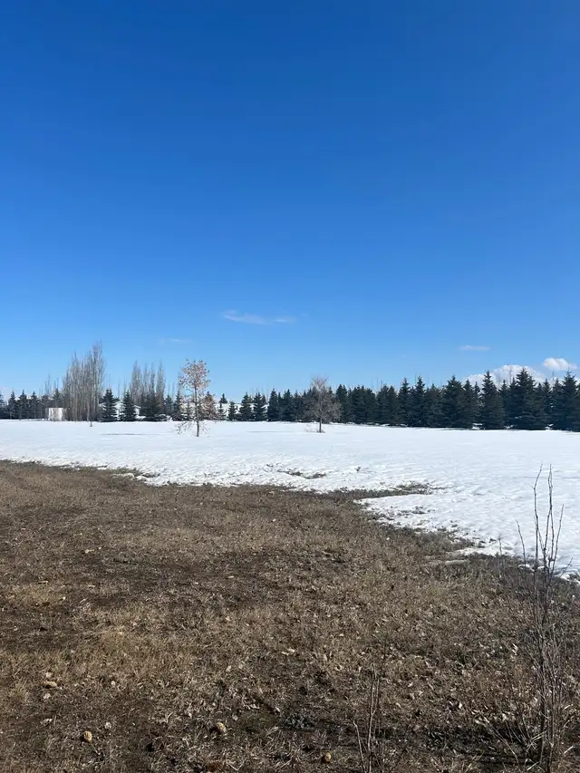 Corman Park Acreage - Photo 3